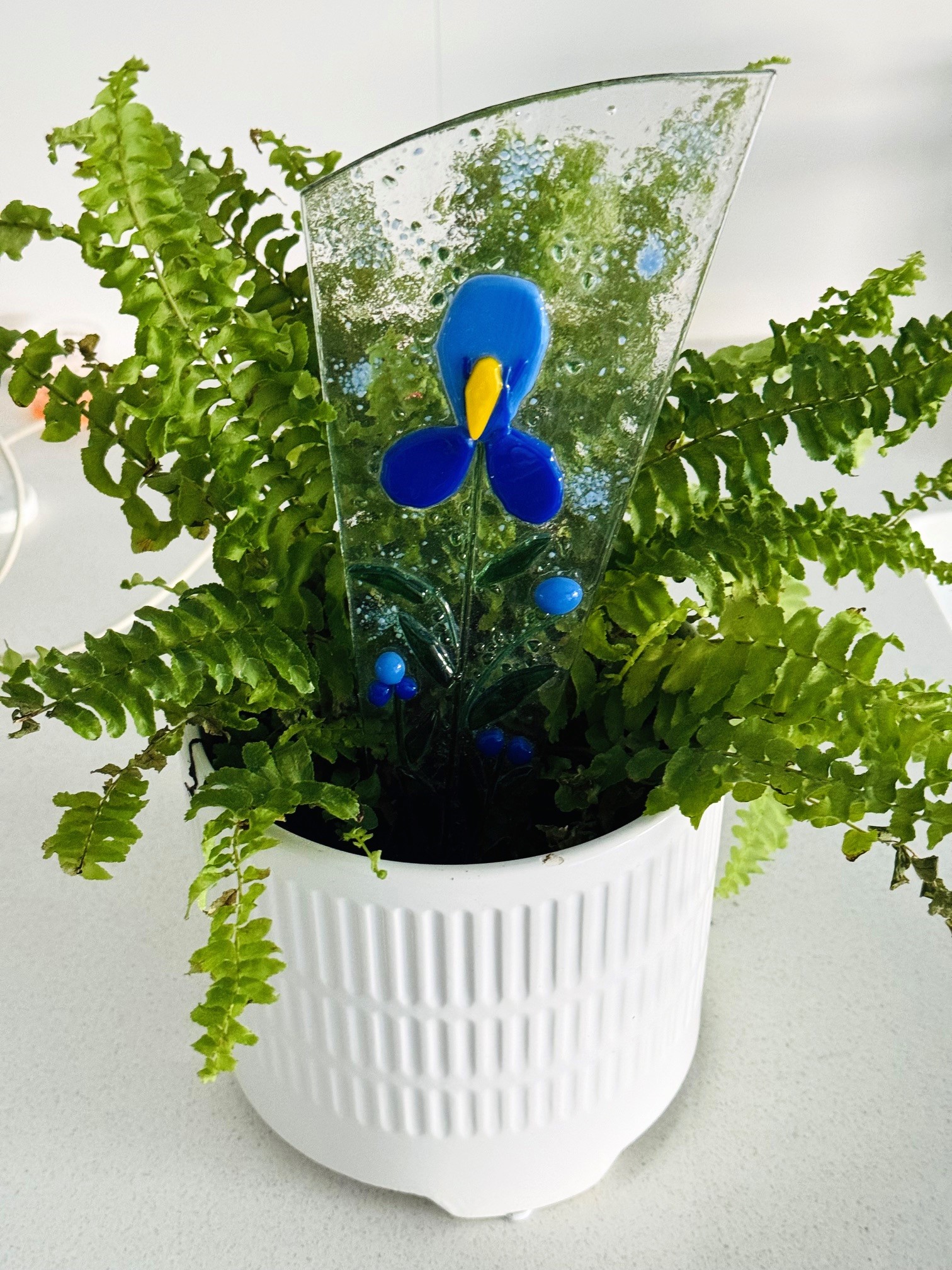 Garden Glow - Image 4