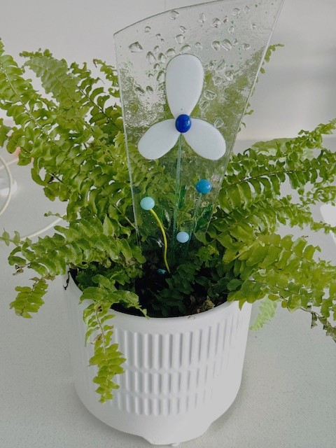 Garden Glow - Image 3