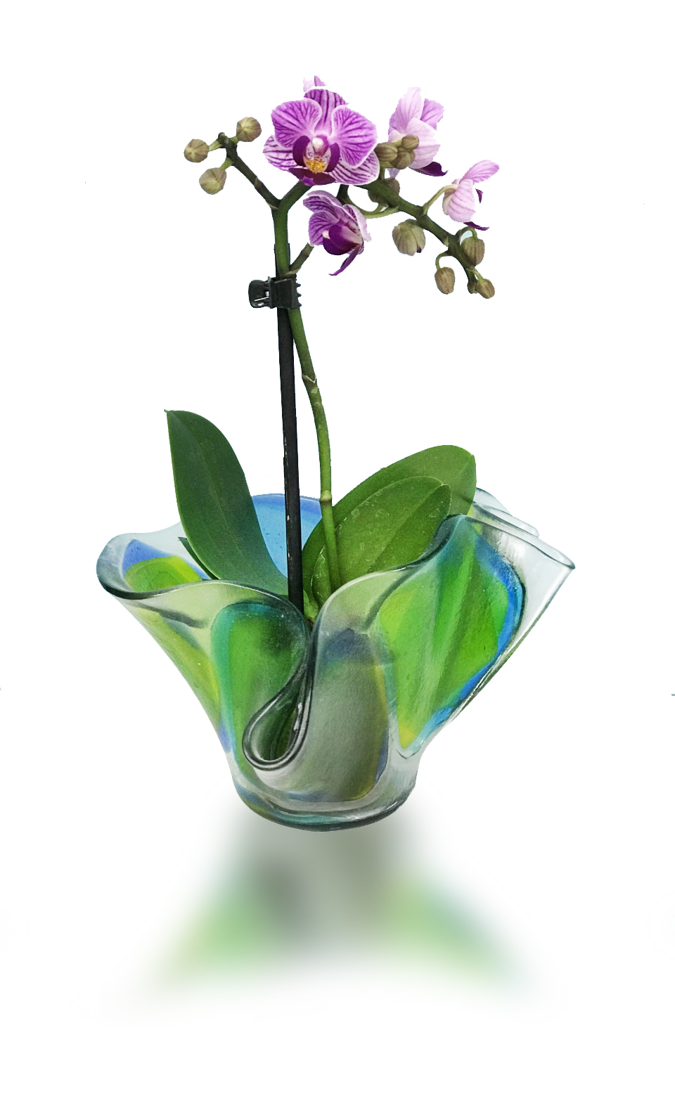 Adult Beginning Glass Fusion Workshop - Image 12