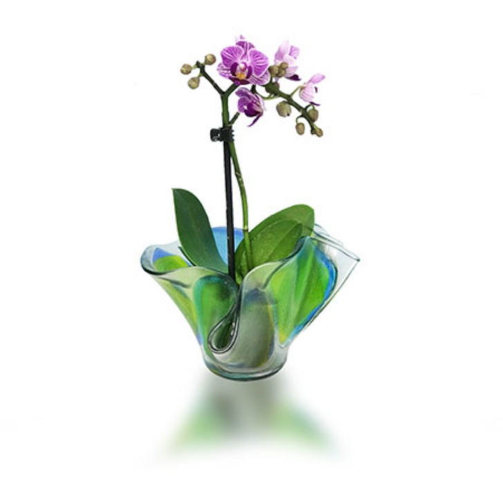 Drape or slump it - Image 7